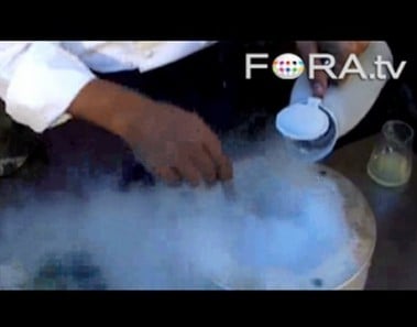 Cooking with Liquid Nitrogen – Ferran Adria and Harold McGee