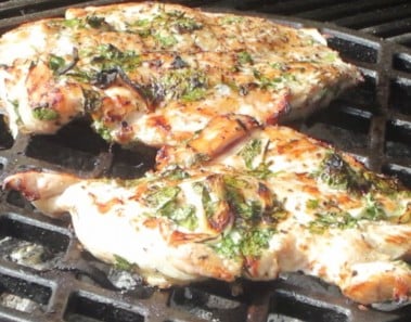 Easy Grilled Chicken Recipe (Quick)- BenjiManTV