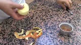 Uniek Tarte Tatin recept van Paul Bocuse!