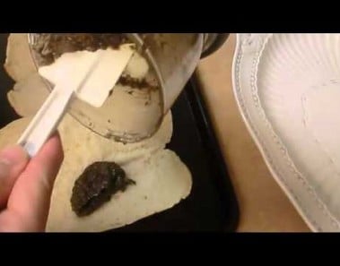 Bread and aioli Olive’s appetizer Create Cooking’s Channel