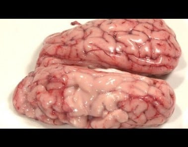 Deep-Fried Brains – How To