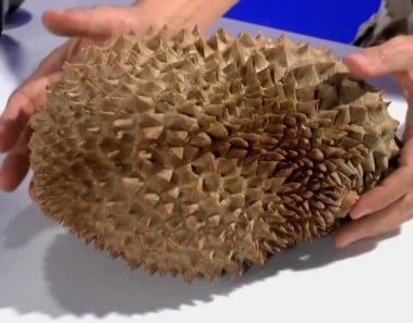 DURIAN healthy Custard Dessert pudding recipe (raw vegan)