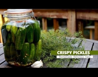 How to make Crispy Garlic Dill Pickles (fermented)