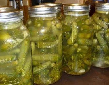 Naturally Fermented Dill Pickles Recipe – Рецепт Малосольных Огурцов