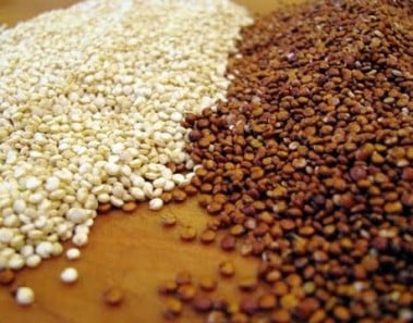 Quinoa 101