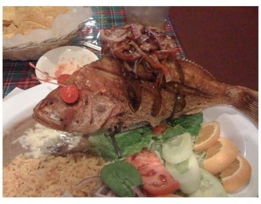 Snapper Veracruz