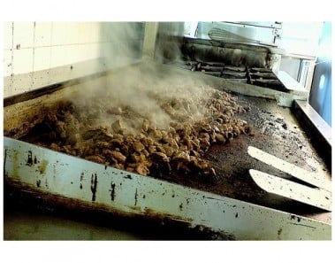 Beef Tips