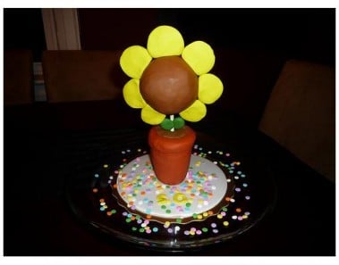 Flower Pot Cakes