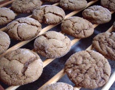 Ginger Hottendots