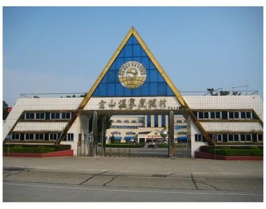 Golden Sugar Cookies