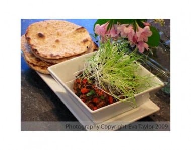 Home Made Whole Wheat Tortilla’s and Braised Beef Appetizer