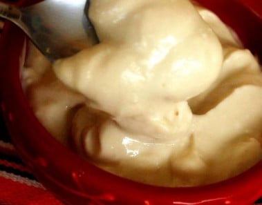 Homemade Frozen Yoghurt