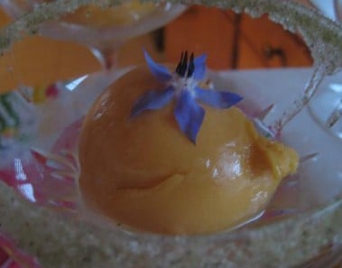 Mango Sorbet With Kaffir Lime and Mint Simple Syrup Topped With Borage Flowers
