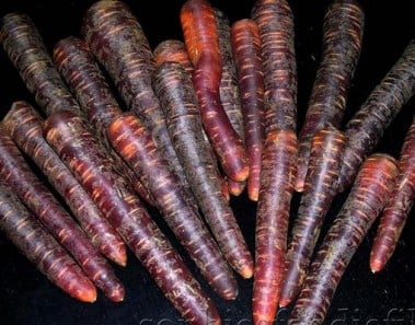 Purple Carrot Stoemp With Onion & Smoked Bacon
