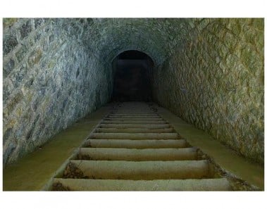 Red Wine Baked Trout