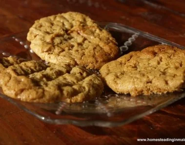 Flour-Less Peanut Butter Cookies