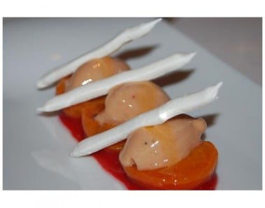 Apricot Sorbet