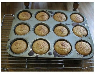 Blueberry Bran Muffins