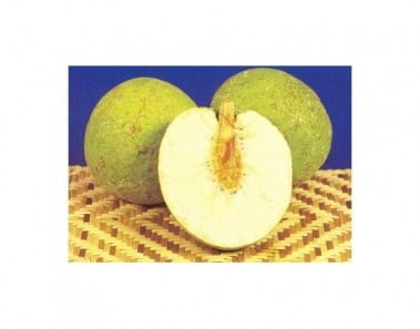 Easy Breadfruit Oildown