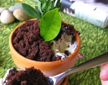 Flower Pot Ice Cream Sundae
