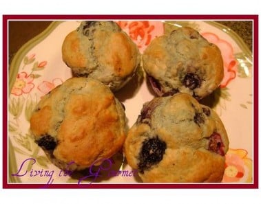 Great American Recipes Best-Ever Blueberry Muffins