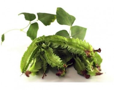 Grilled Root Vegetables