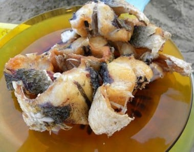 Pan Fryed Gray Mullet