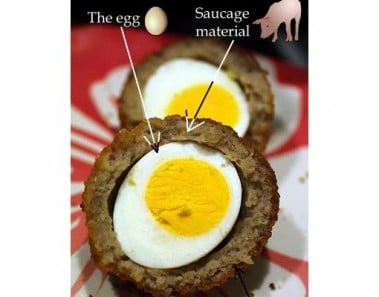 Scottish Egg