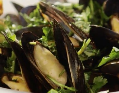 Seafood Recipes – How to Make Steamed Mussels
