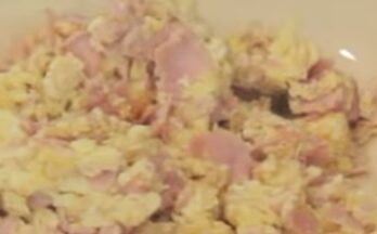 Easy High Protein Bodybuilding Breakfast