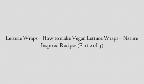 Lettuce Wraps – How to make Vegan Lettuce Wraps – Nature Inspired Recipes (Part 2 of 4)