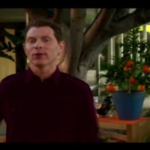 Food Network Grilling Week 2010: Bobby Flay’s Hot Dog Tips