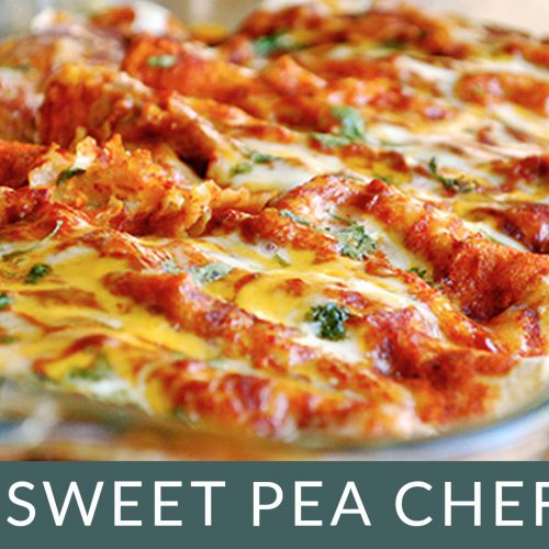 Shredded Chicken Enchiladas | A Sweet Pea Chef