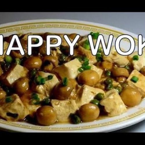 Tofu and Mushrooms in Oyster Sauce : Authentic Chinese Stir Fry Cooking .