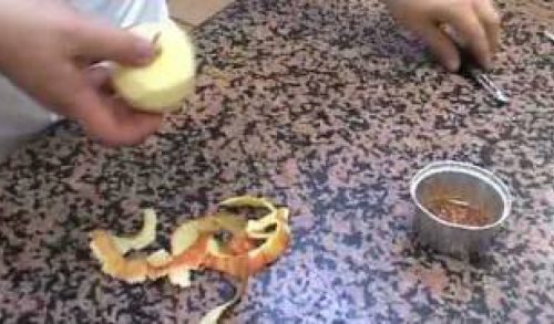 Uniek Tarte Tatin recept van Paul Bocuse!